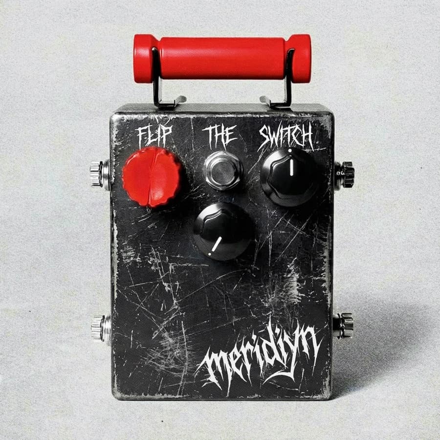 Flip The Switch — Meridiyn artwork